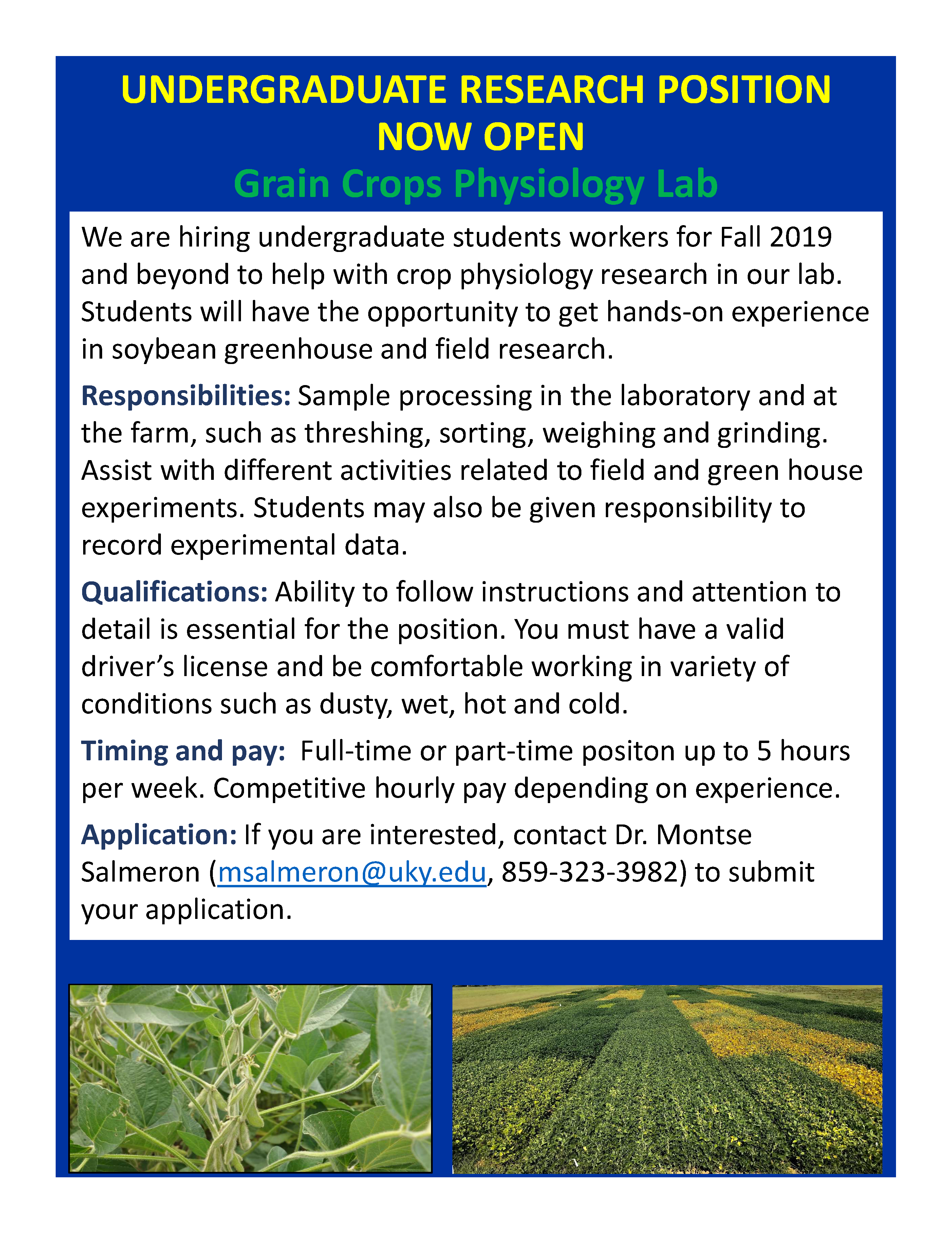 Undergraduate Research Position flyer